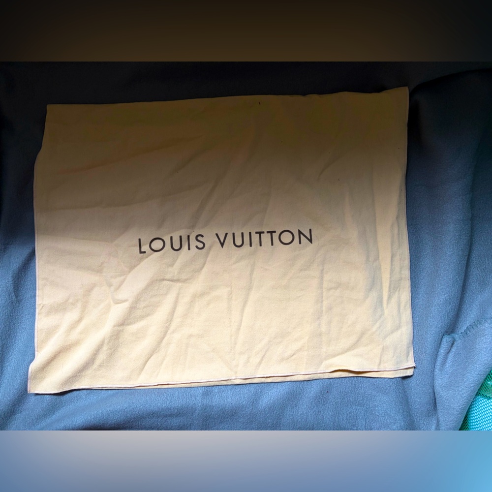 Louis Vuitton Dustbag dust bag LV